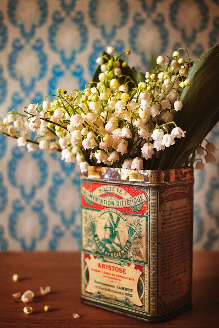 Posy of lily of the valley in old printed tin on dark wooden table top against pale blue patterned wallpaper