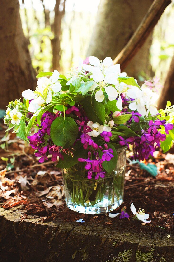 Sommerliches Blumensträusschen in violett und weiß mit grünen Blättchen in Trinkglas auf Baumstumpf im sonnigen Laubwald