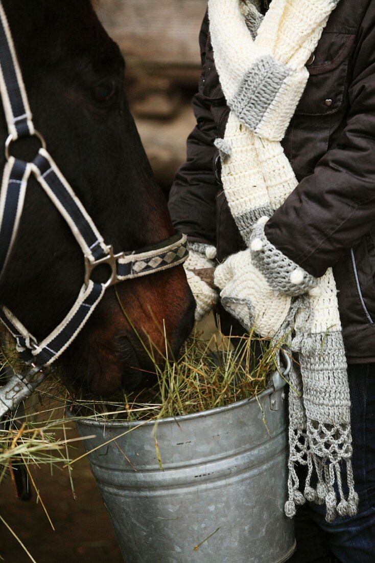 Frau mit selbstgehäkelten Handschuhen und Schal beim Füttern eines Pferdes