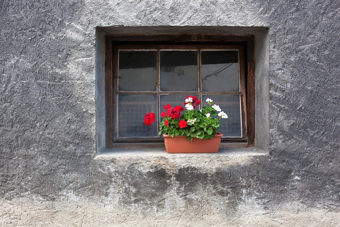 Blumenkiste vor einem Bauernhausfenster