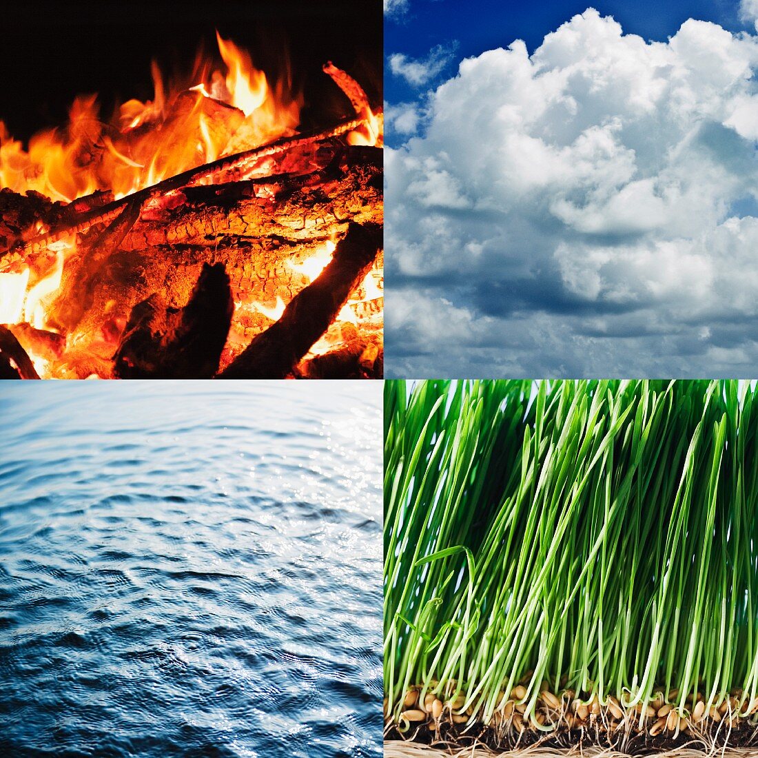 Komposition der vier Elemente: Feuer, Luft, Wasser, Erde