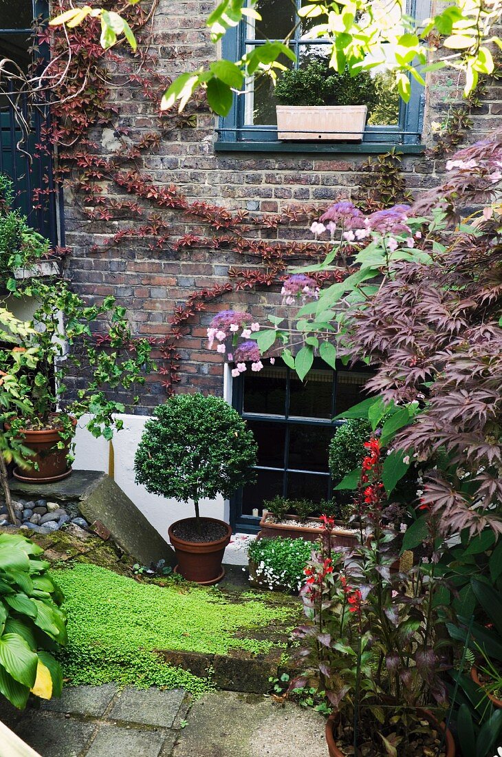Pflanzentöpfe in blühendem Garten vor Wohnhaus mit Ziegelfassade
