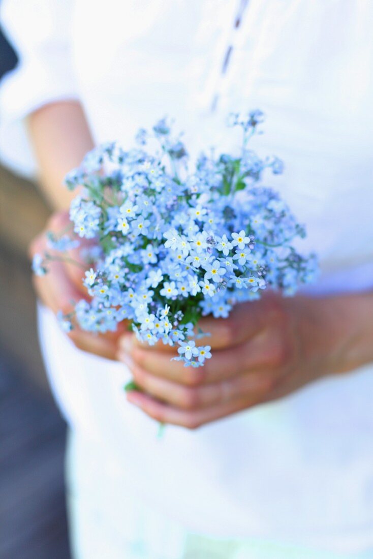 Hands holding forget-me-not flowers