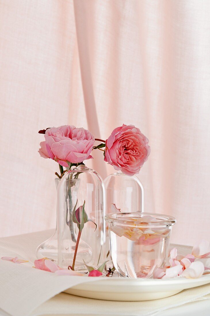 Stillleben mit Rosenwasser & Rosenblüten in Glasväschen