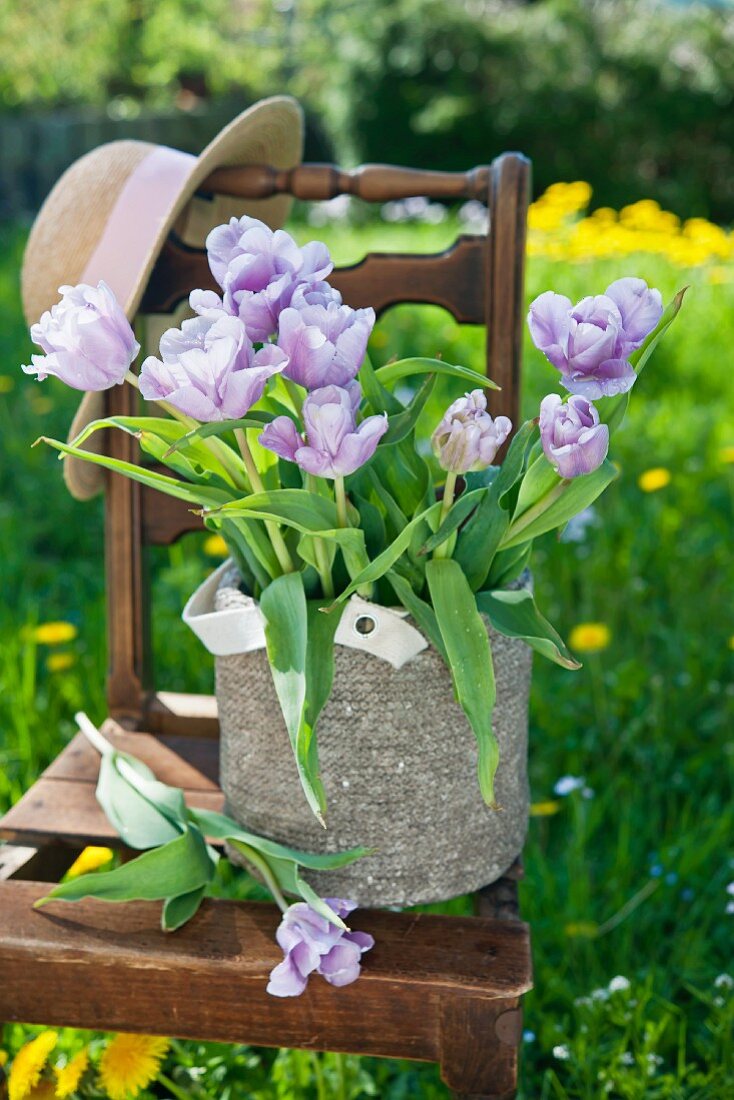 Purple tulips and hat on chair in garden