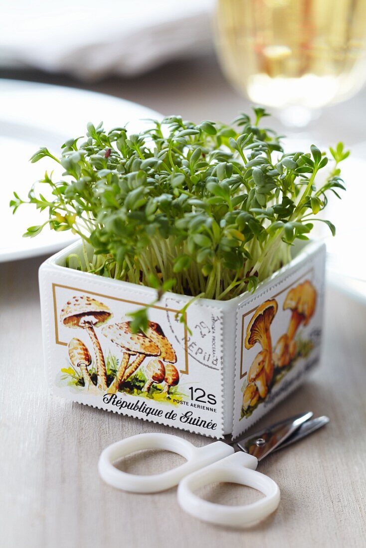 Pot of cress decorated with postage stamps with mushroom motifs