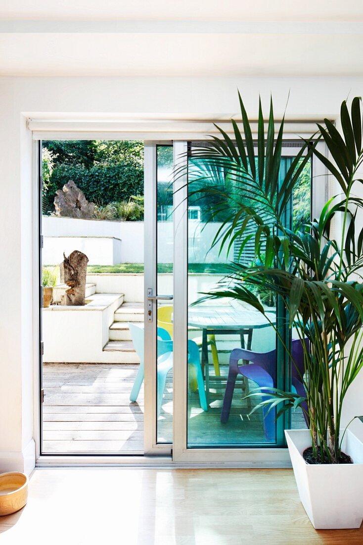 Zimmerpflanze vor Fensterschiebetüren; Blick auf sonnige Terrasse mit farbigen Plastikstühlen