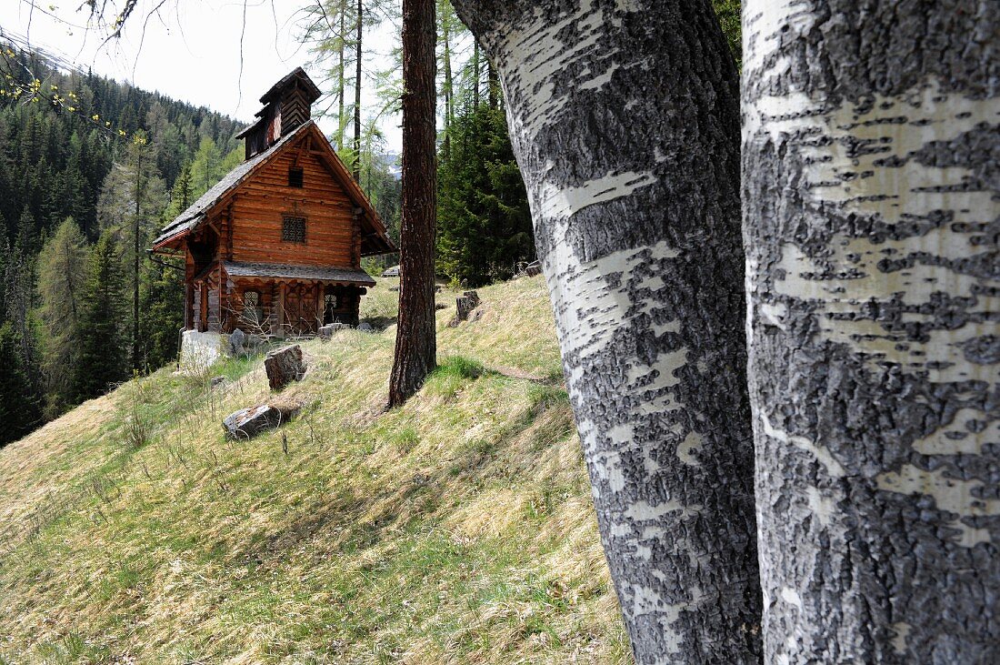 Small wooden cabin in woods, Val Sinestra, Graubuenden canton, Switzerland