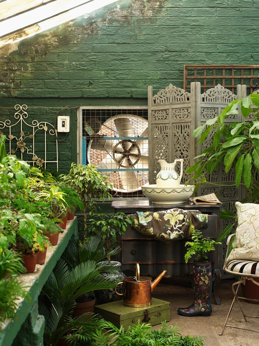 Potted plants, wash basin on chest of drawers and screen against green-painted brick wall in greenhouse