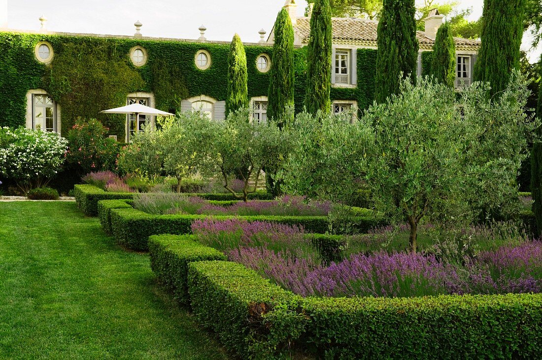 Landscaped garden with low hedges around flower beds in front of Mediterranean country manor with climber-covered facade