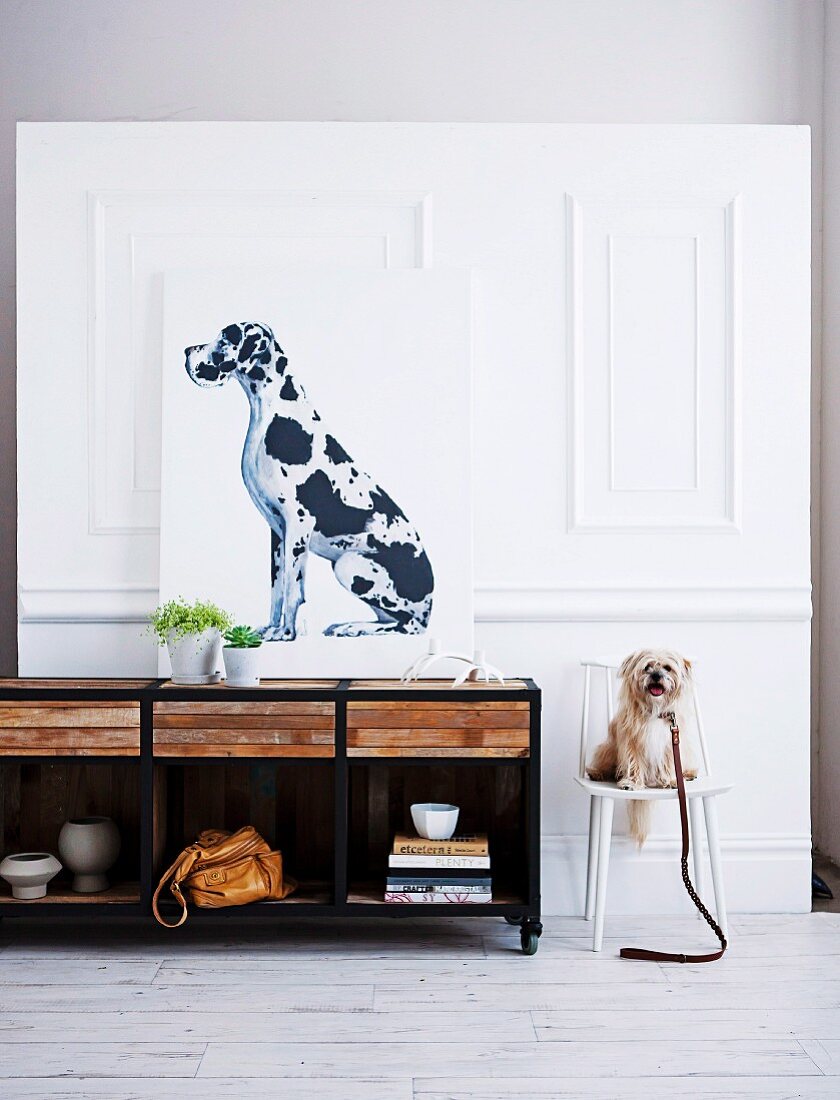 Portrait of dog on top of sideboard and small, white dog sitting on chair against white, wood-panelled wall