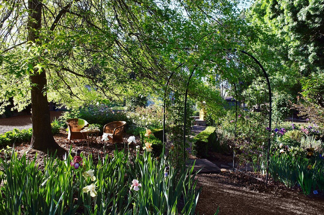 Rundbogenspalier vor Gartenplätzchen mit Rattanstühlen unter Baum; Beete mit blühenden Iris im Vordergrund
