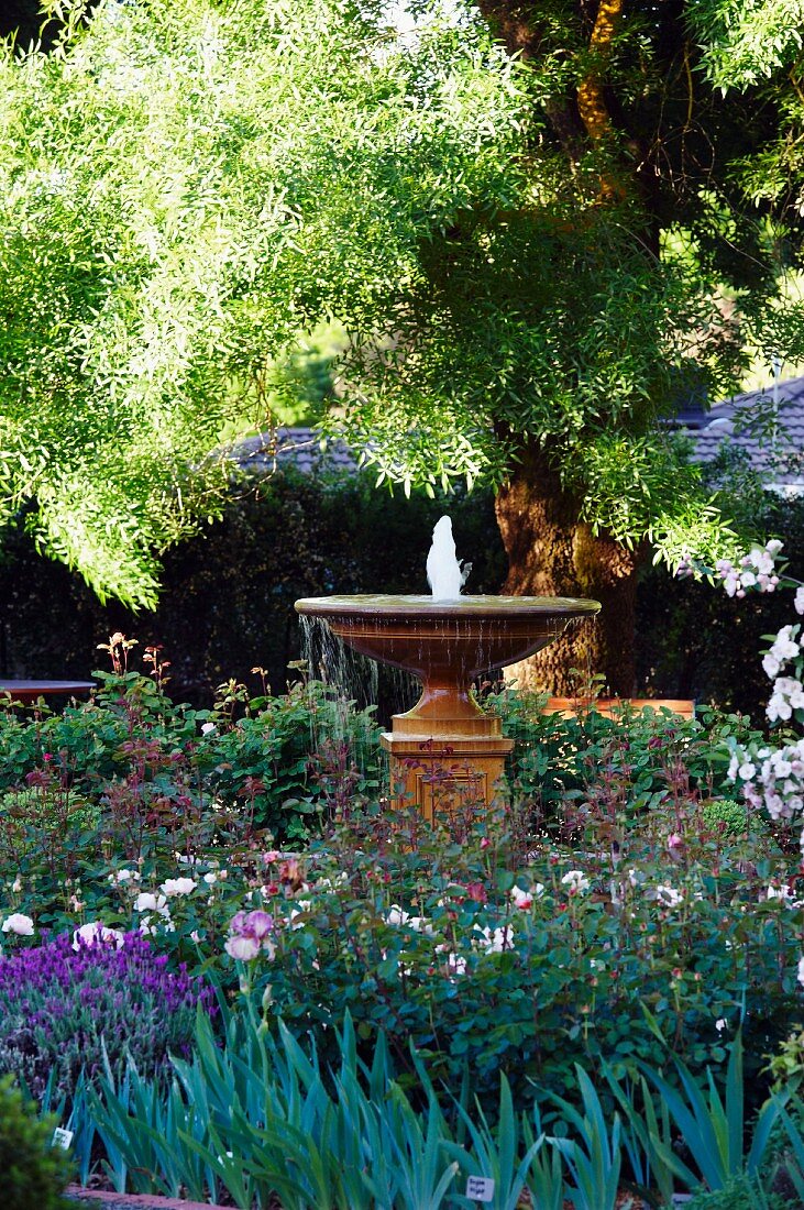 Springbrunnen mit Steinbecken auf Säule in blühendem sommerlichen Garten