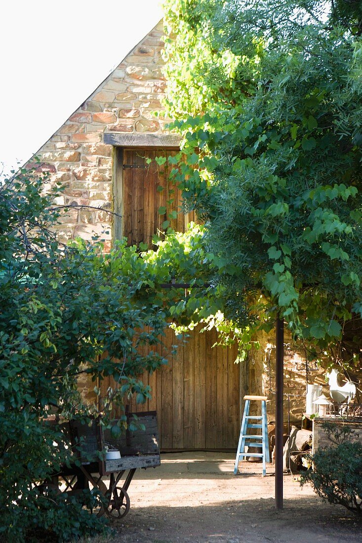 Begrünter Vorplatz und sonnenbeschienenes Natursteinhaus