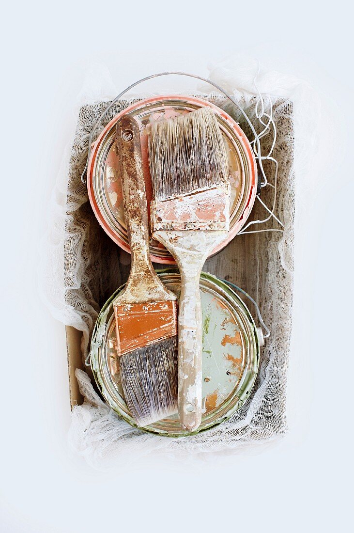 Two paint pots and two paintbrushes in cardboard box (top view)