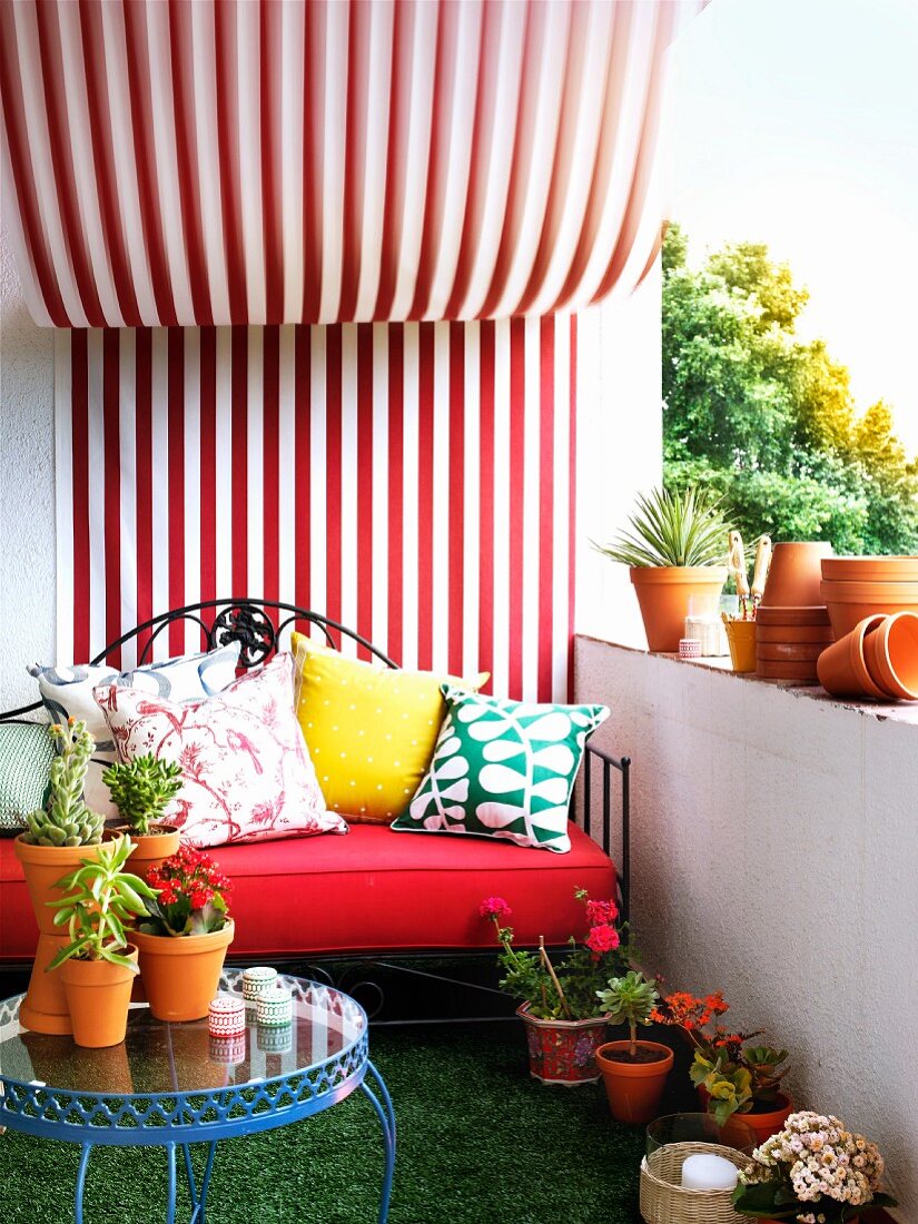 Romantic metal sofa beneath red and white striped fabric canopy and various potted plants in comfortable loggia