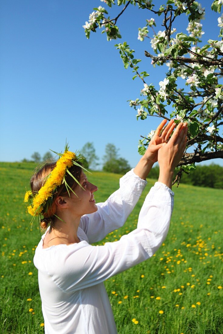 Junge, lächelnde Frau im Profil mit Blumenkranz im Haar beim Betrachten der Apfelblüte