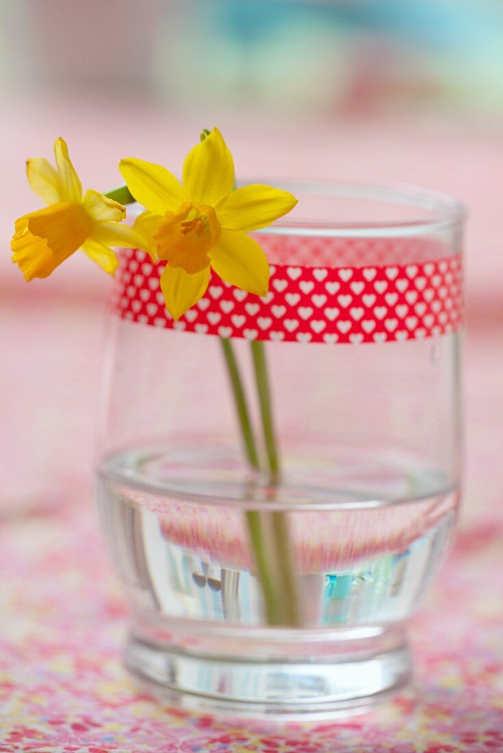 Two daffodils in glass with decorative masking tape