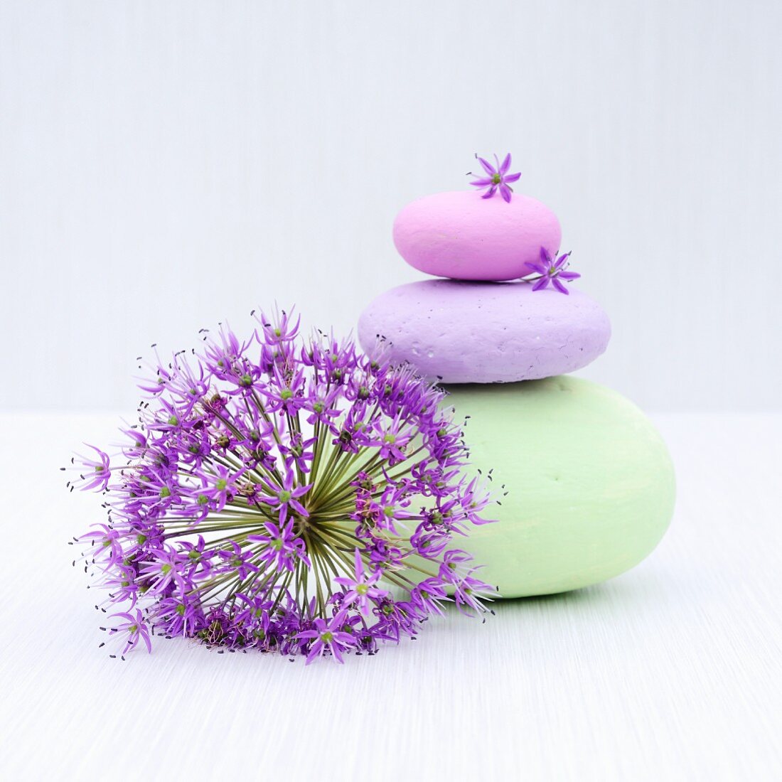 Pebbles painted in pastel colours and ornamental allium flower