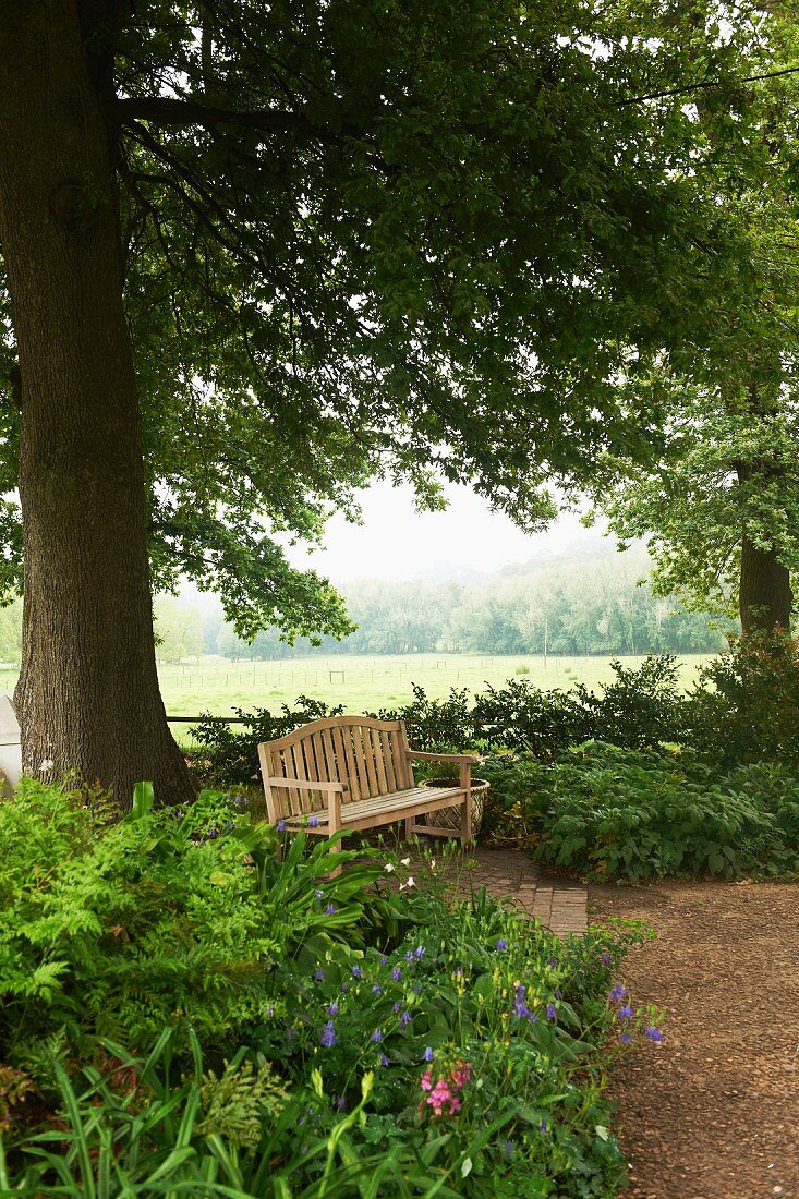 Wooden bench below tree in spacious gardens