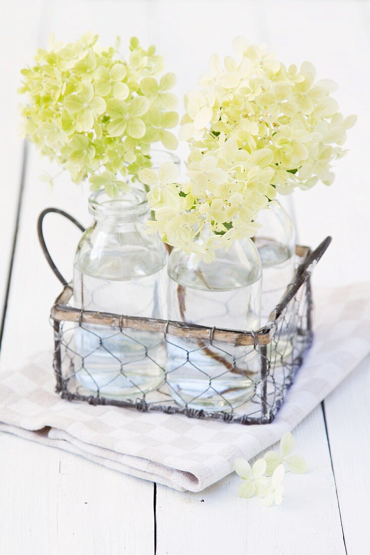 weiße Hortensienblüten in Wasserflaschen im Drahtkorb