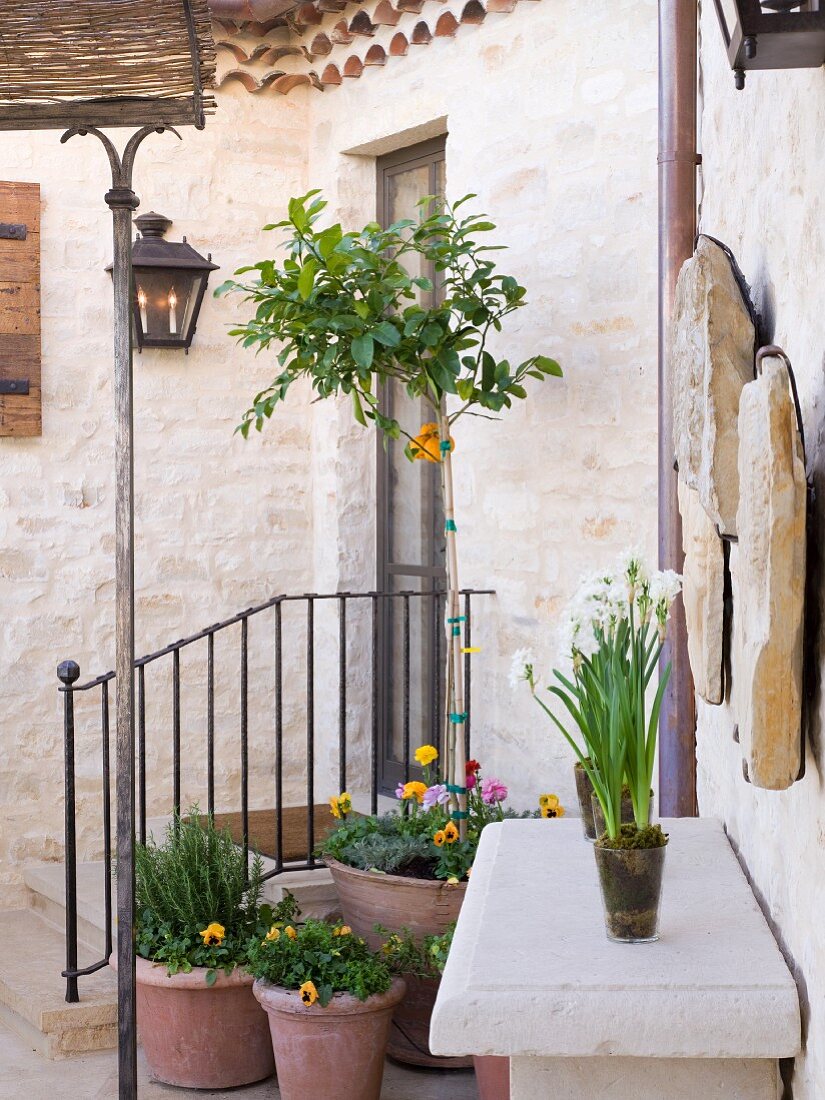 Hauseingang mit blühenden Topfpflanzen vor Treppenaufgang und Steintisch mit Blumentöpfen an Hauswand