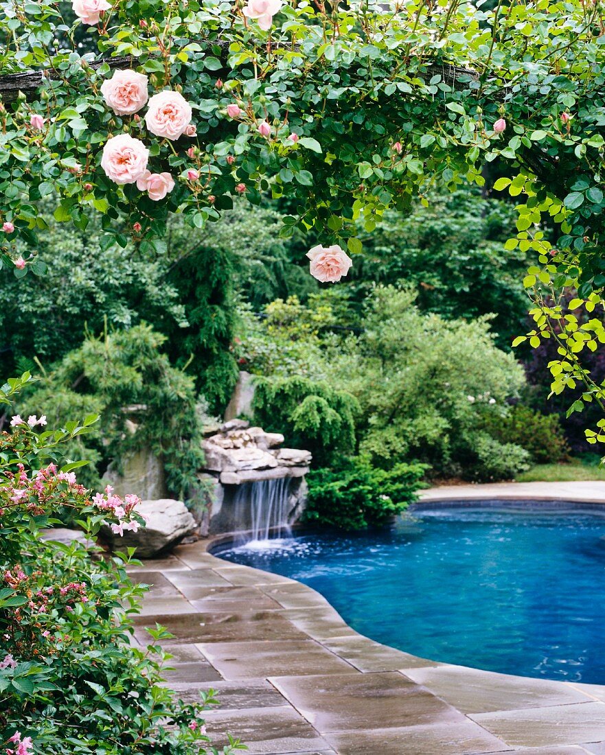 Pool with waterfall and rose garden