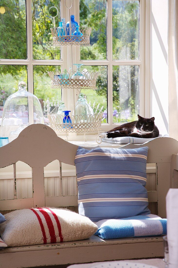 Alte Sitzbank im Landhausstil vor Fenster; Katze und Etagere mit Sammlung dekorativer blauer Flaschen und Gläsern