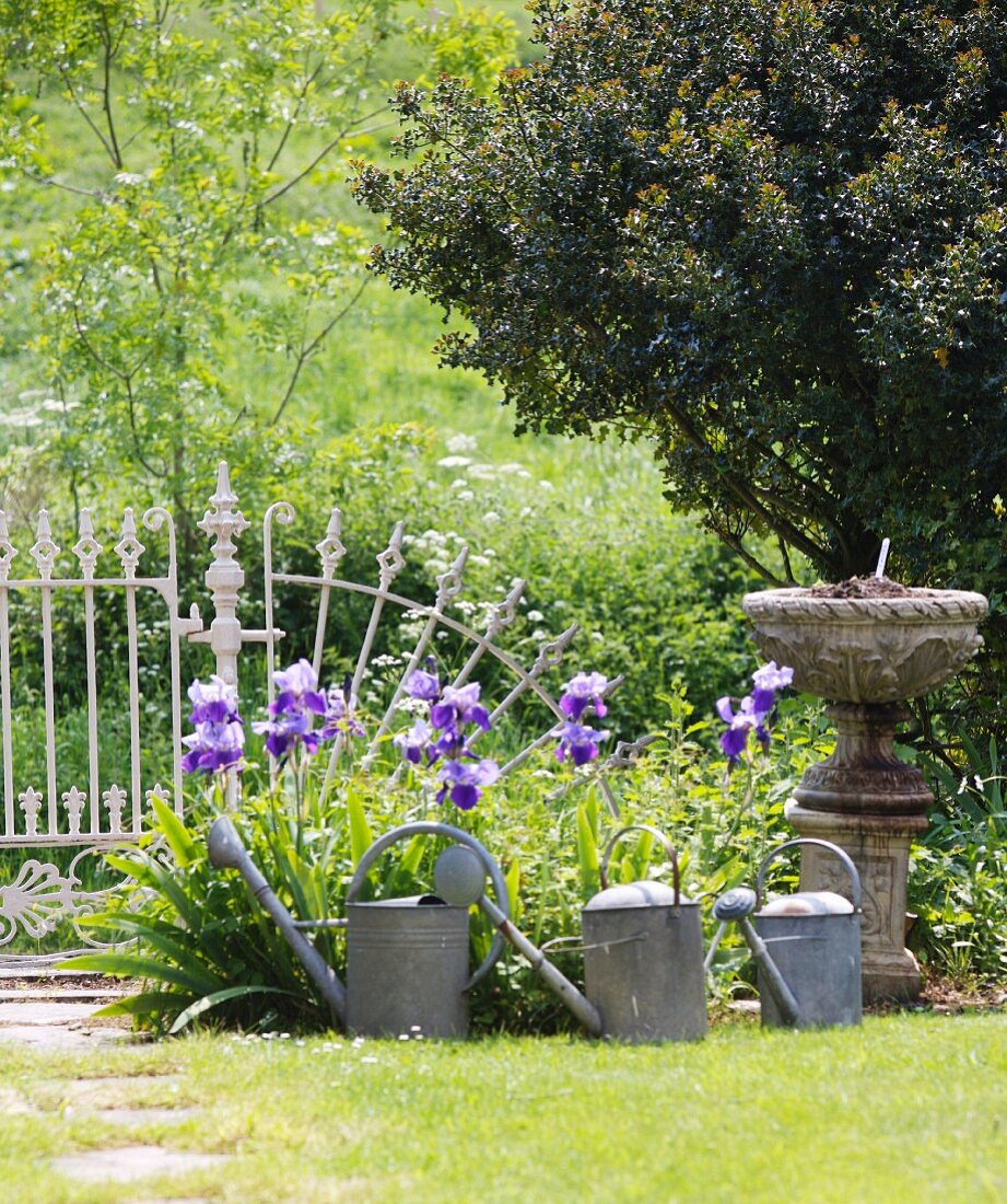 Giesskannen vor Beet mit blauen Iris und anitkes Stein Pflanzengefäss im sonnenbeschienenen Garten