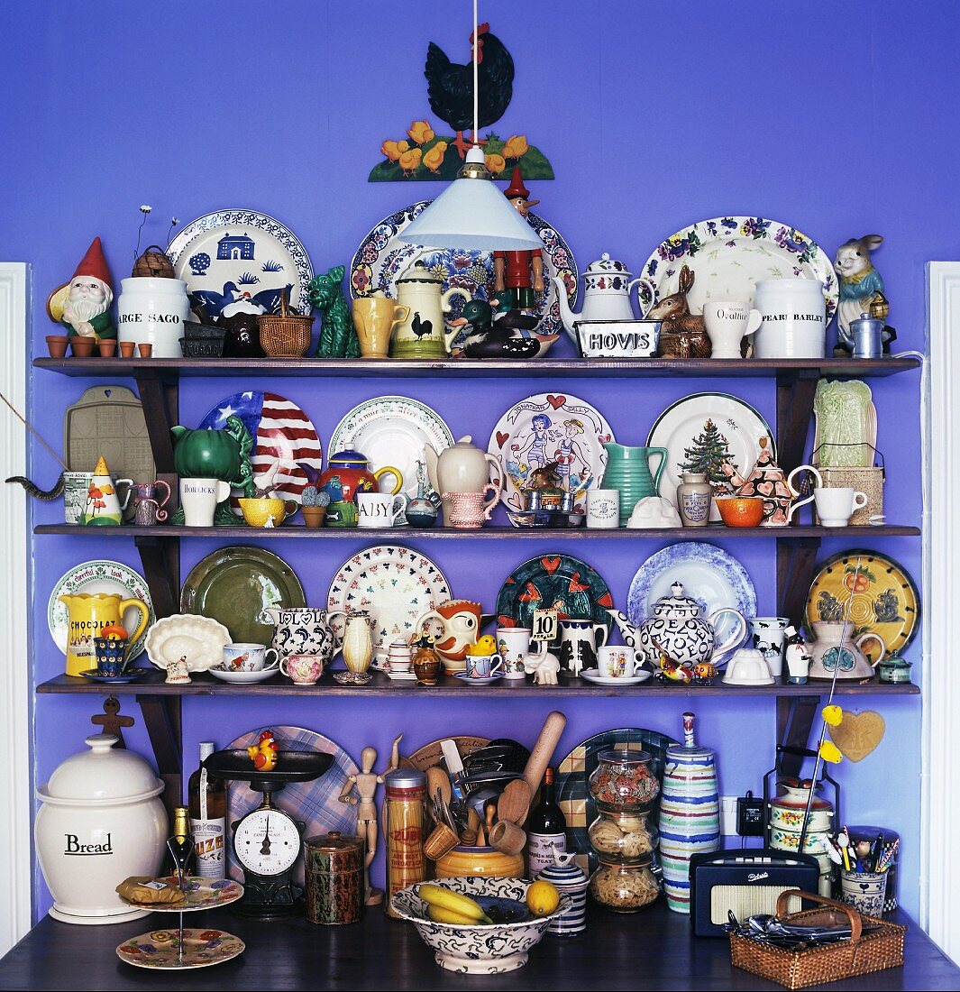 Wandregal mit Geschirr Sammlung an blau getönter Küchenwand