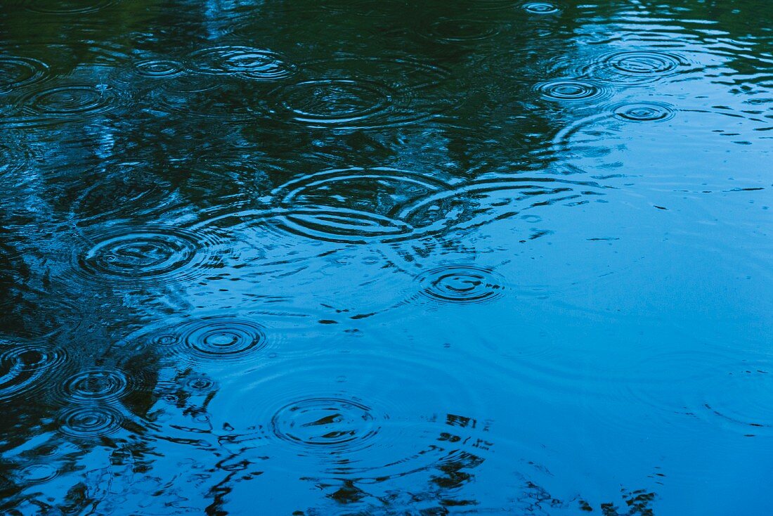 Regentropfen fallen auf Wasseroberfläche