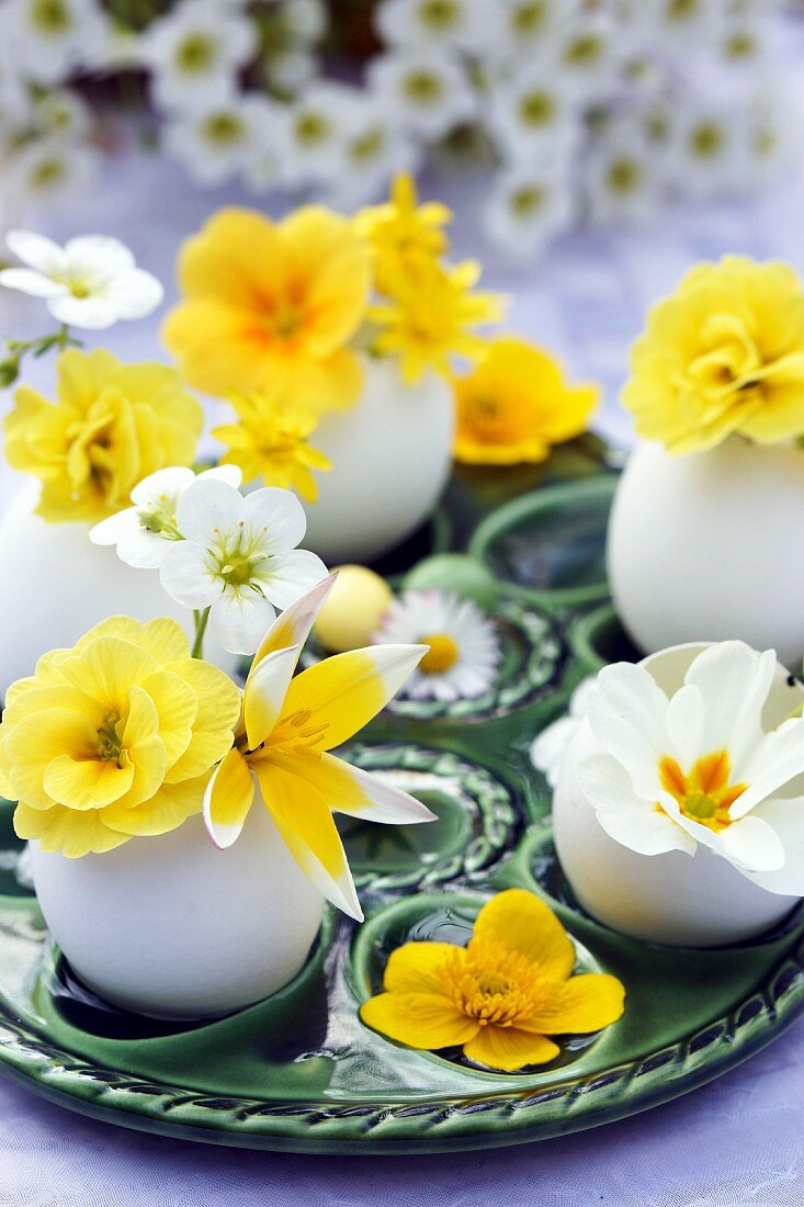 Eier als Minivasen mit gelben & weissen Frühlingsblumen