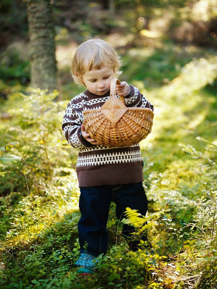 A girl picking mushrooms in the forest, Sweden
