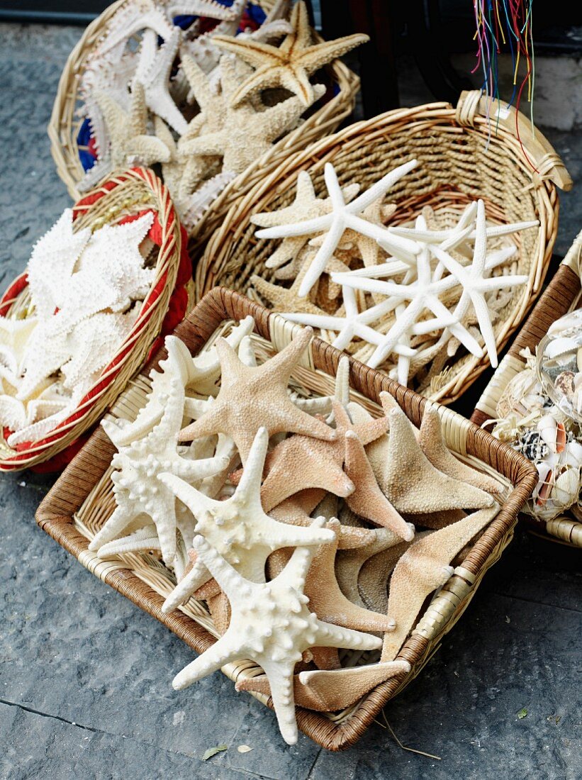 Wicker baskets of various dried star fish
