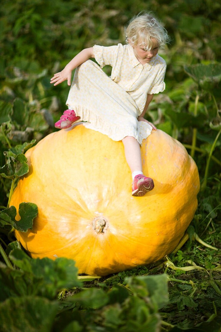 Scandinavian girl on a giant pumpkin, Sweden