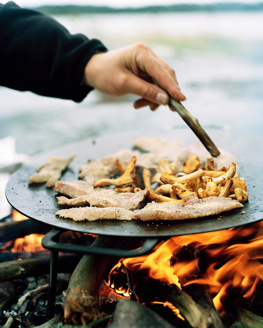 Fleisch & Pilze werden über offenem Feuer gegrillt