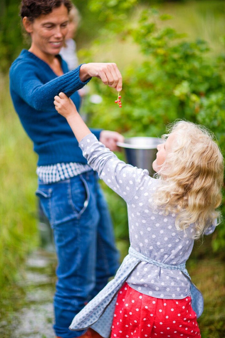 Mother giving red currant to girl