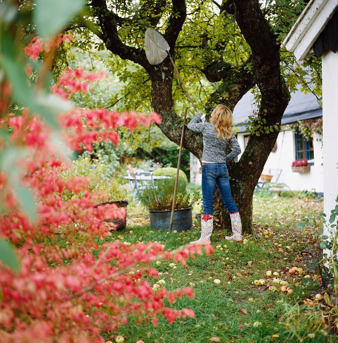 Frau mit Obstpflücker vor Baum im Garten mit Herbststimmung