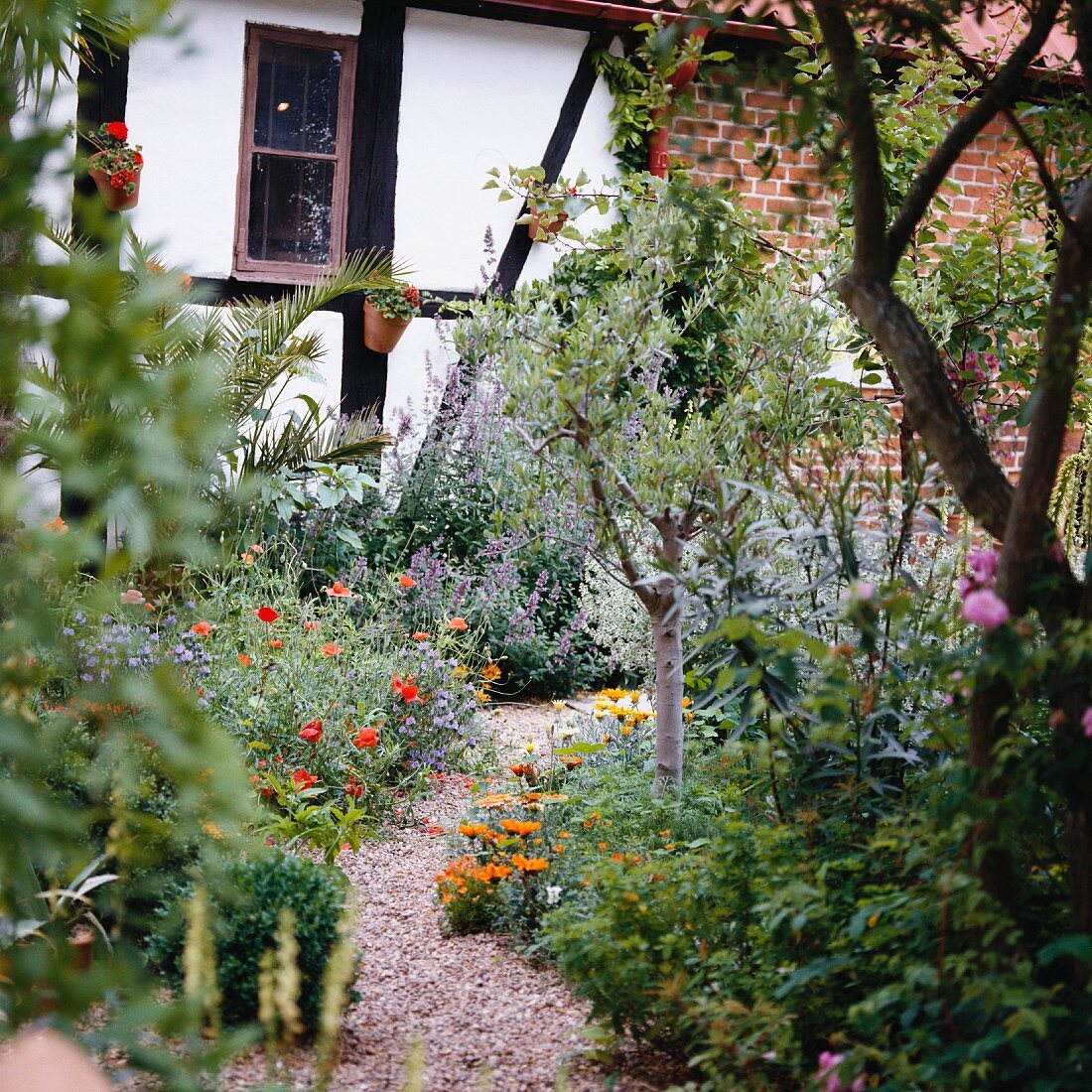 Garten mit Kiesweg zwischen blühenden Beeten vor Landhaus