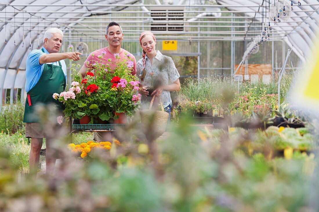 Senior gardener serving mature man and mid adult woman in garden centre