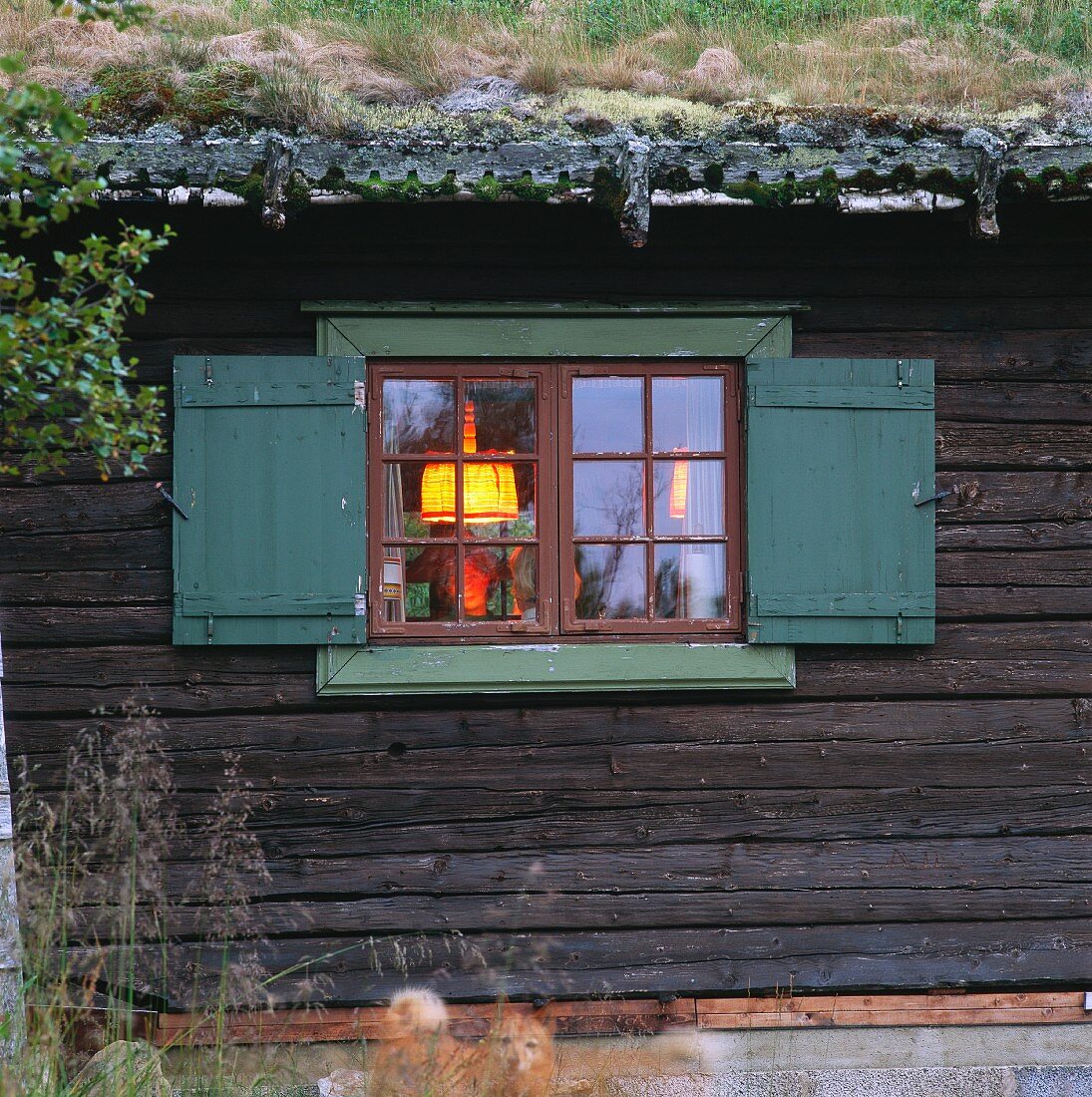 Blick auf beleuchtetes Fenster eines Holzhauses mit begrüntem Dach
