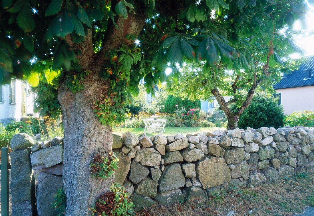 Steinmauer mit Kastanienbaum vor Wohnhäusern