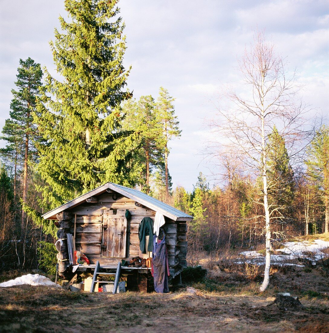 Holzhütte im Wald