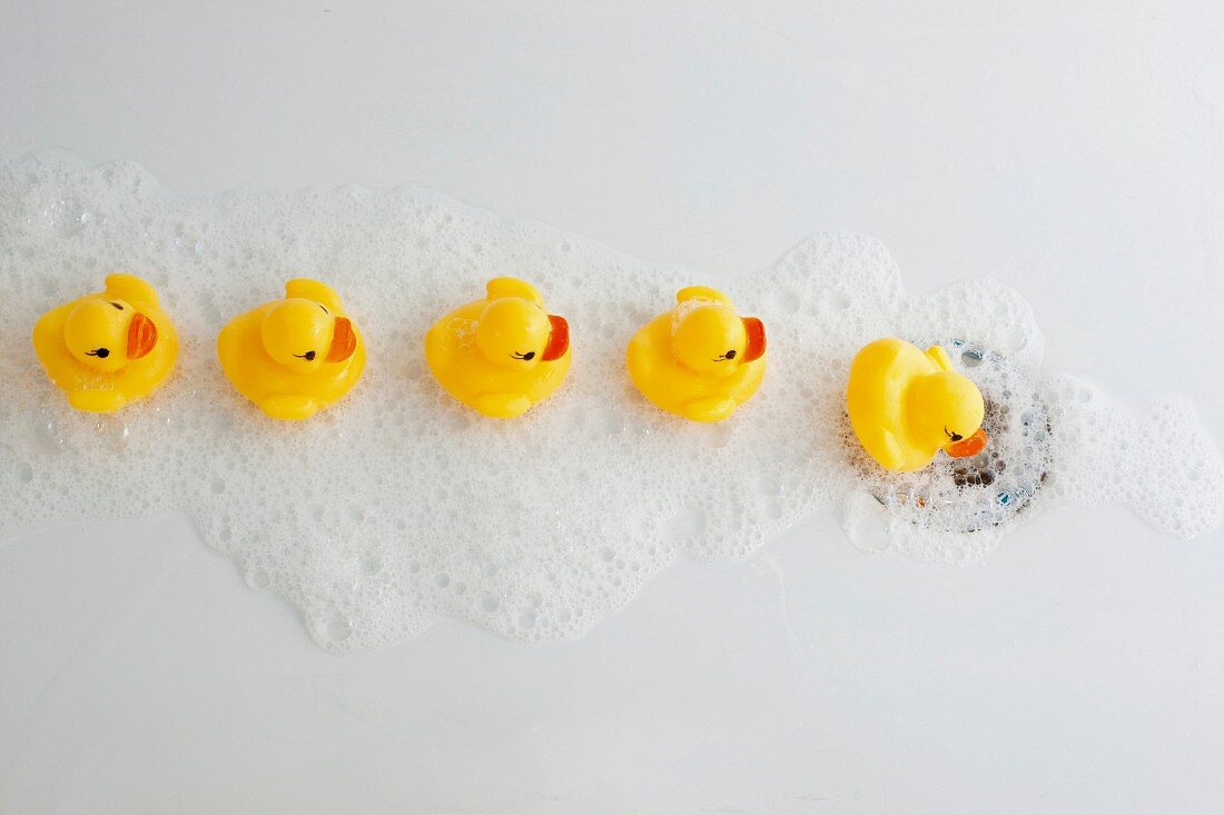 Rubber ducks moving towards plughole in bath