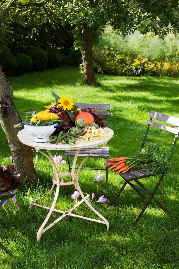 Sommergemüse und Sonnenblume auf Gartentisch