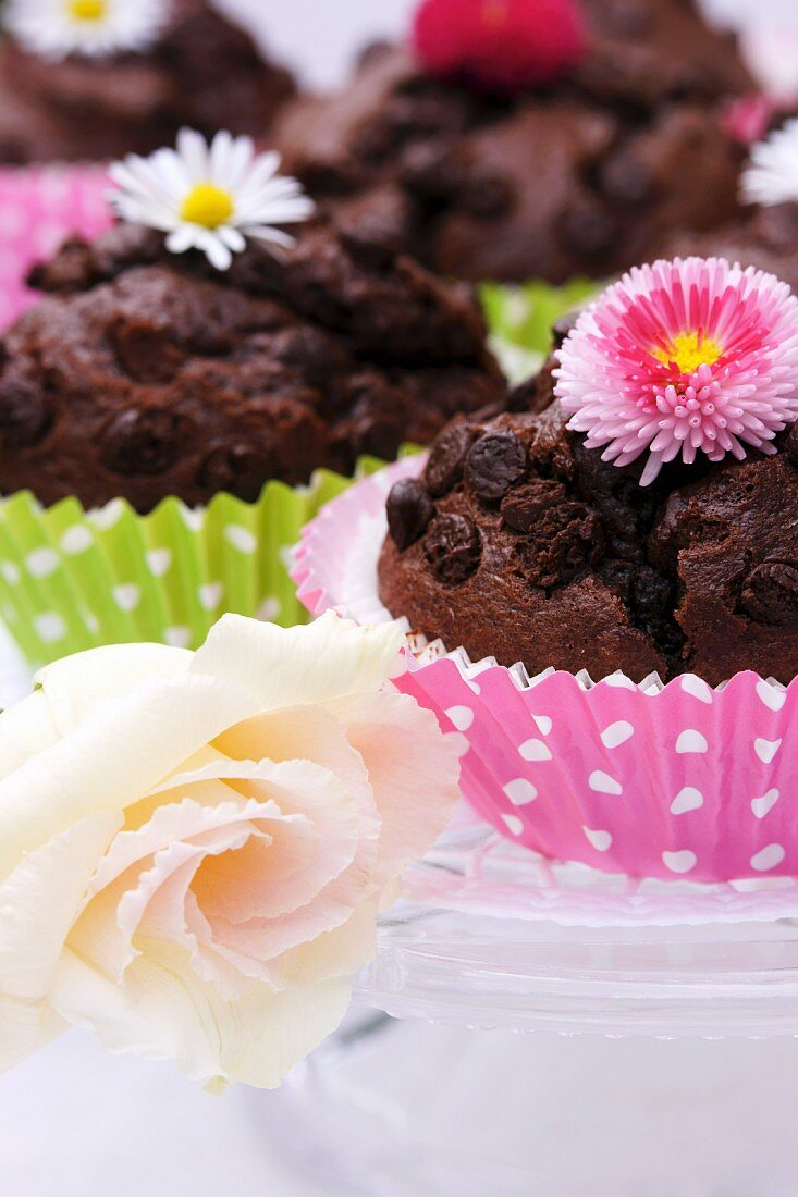 Schokoladenmuffins mit Blütendeko