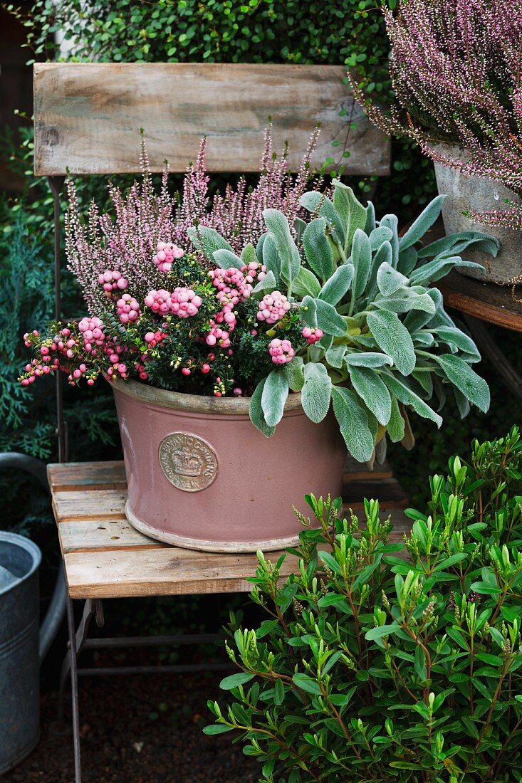 Rosa Pflanzgefäss mit herbstlicher Bespflanzung auf Gartenstuhl