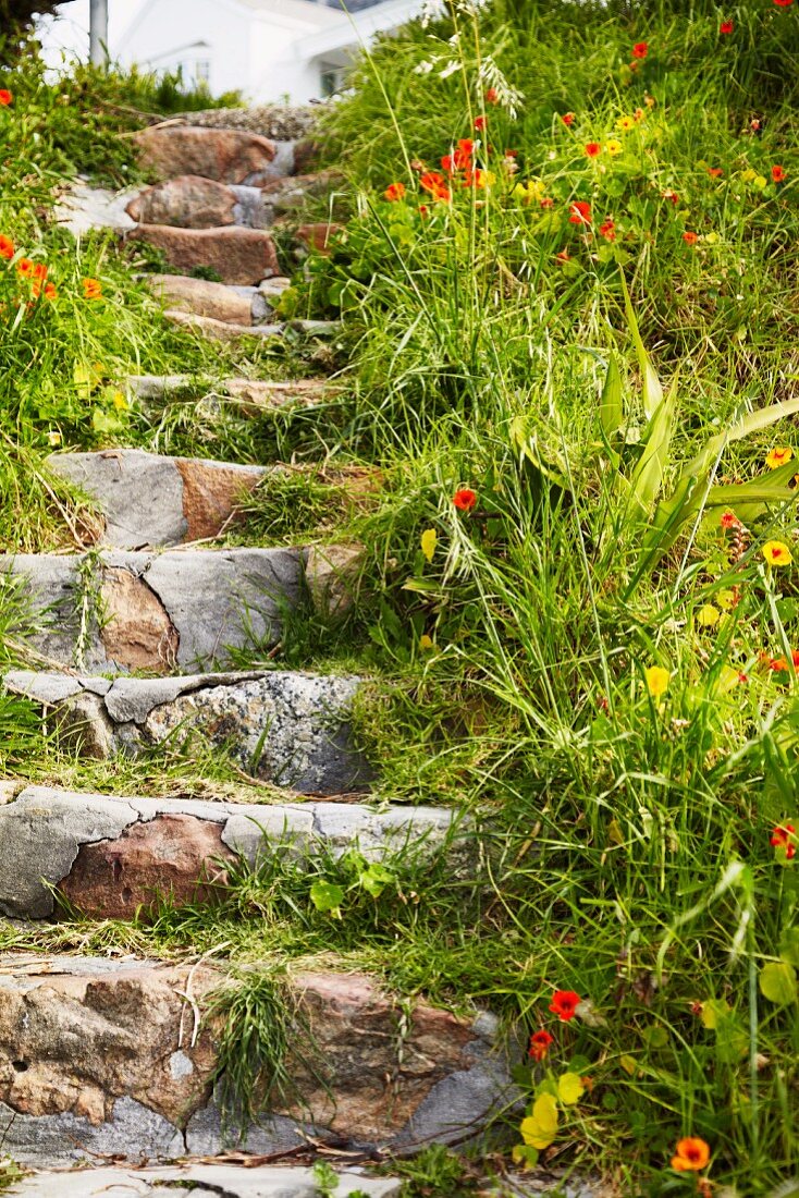 Stone steps edged with flowers & grass