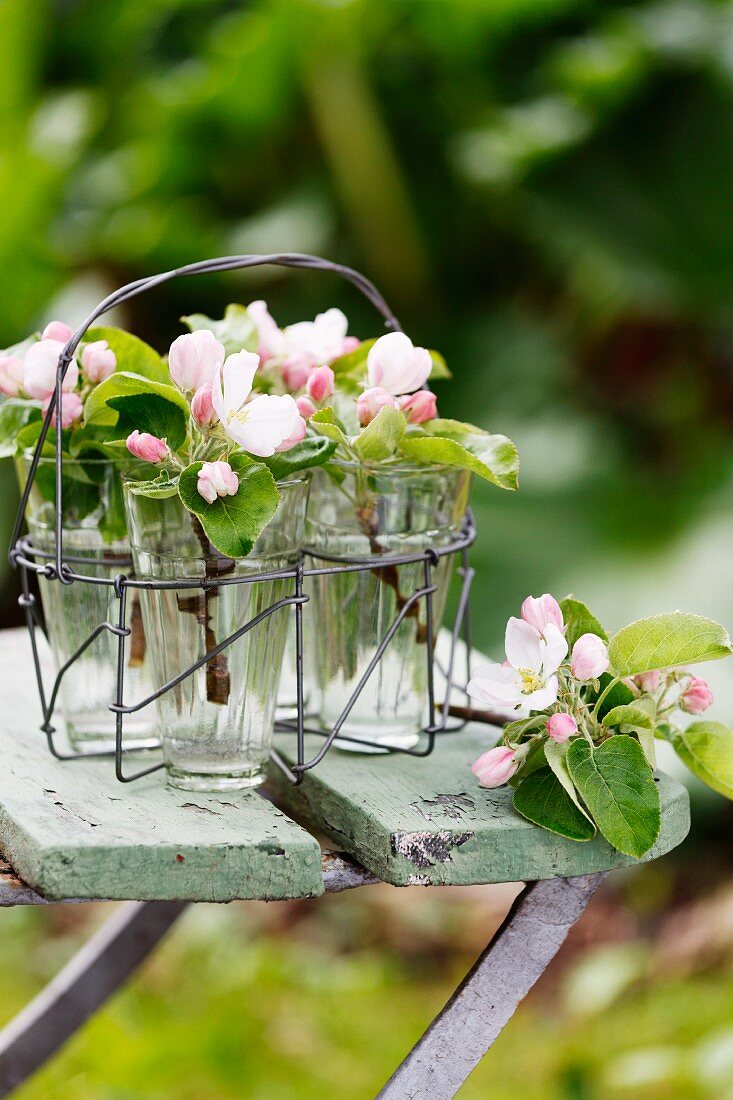 Obstblütenzweige in Glasgefässen auf Gartenstuhl