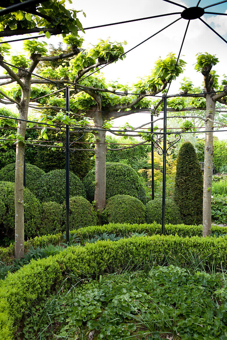 Schmiedeeiserner Pavillon mit kreisförmiger Bepflanzung verschiedener Hecken und Grünpflanzen